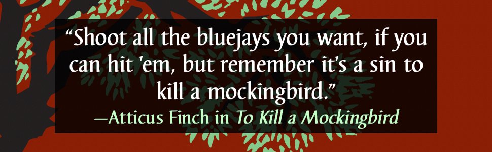 To Kill a Mockingbird Banner 2